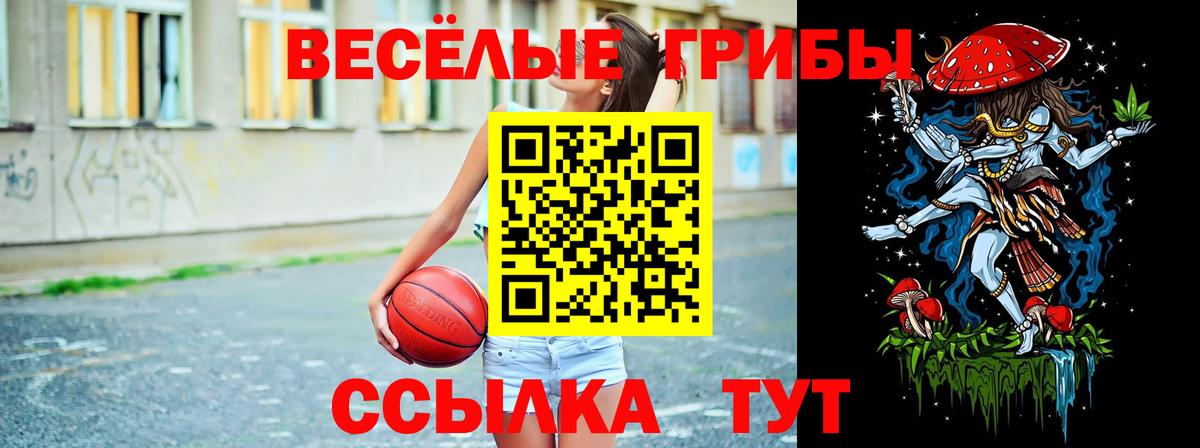 Галлюциногенные грибы ЛСД  закладка  Советск  Вход с VPN 